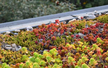 the cost of Spelsbury green roof installation