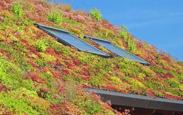 Spelsbury living roof systems